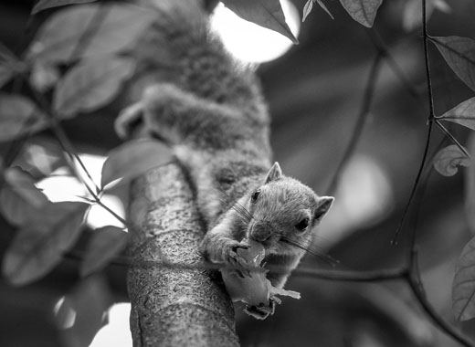 网络短信在线发送